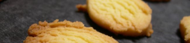 kirapiggy's header image