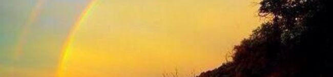 ぴー◯'s header image