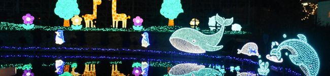 ymdyra's header image