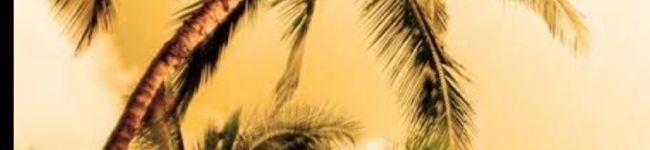sayu826's header image
