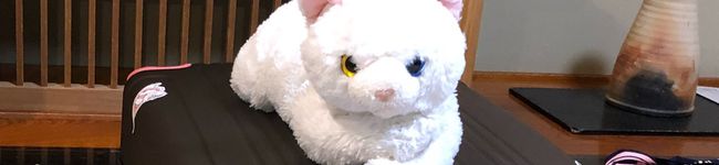 みゅうのしっぽ's header image