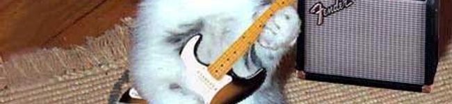 lends's header image