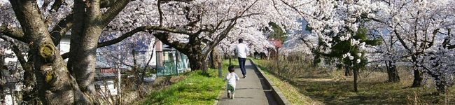 まいママ＊'s header image