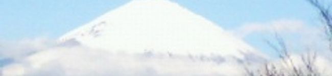 みほペコ's header image