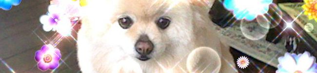 kkiigg's header image