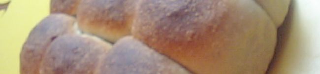 puringo's header image