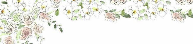 ちはてぃ's header image
