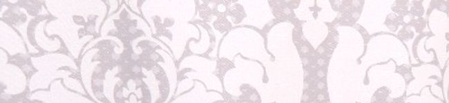 。ゆき乃 。's header image
