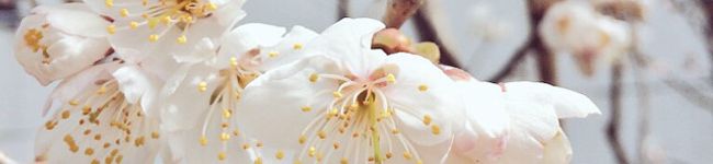 さぶろう83's header image