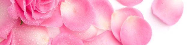 ごんたみん's header image