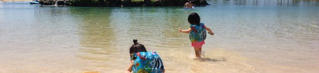 chii3siawase's header image