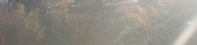 もみぢ山's header image
