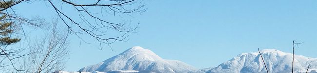 hitsujiさん's header image