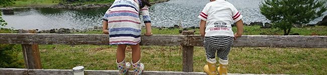 くきまな's header image