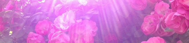 Spring888's header image