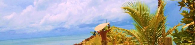 kokataU's header image