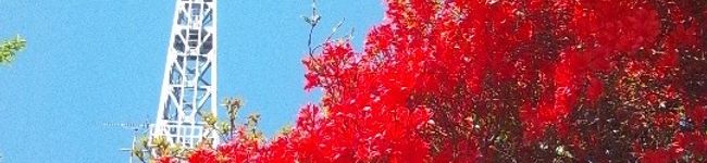 Angelaaa's header image