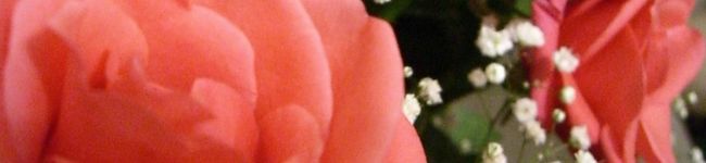 千明沙莉伽's header image