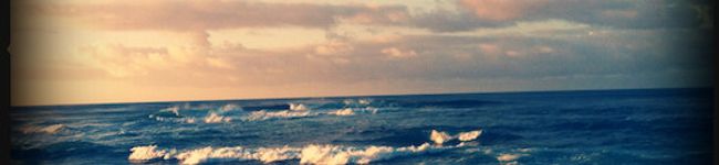 ayalooney's header image
