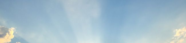 竹中キッチン's header image