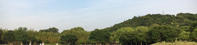 ゆぅぅぅぅ。's header image
