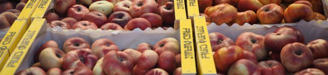 ｍａｈａｌｏ0313's header image