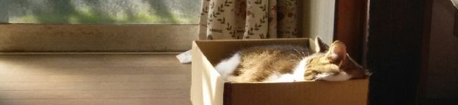 keiko217's header image