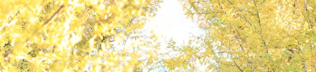 ひろまる。's header image