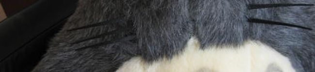take_koda's header image