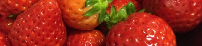 pipi◎'s header image