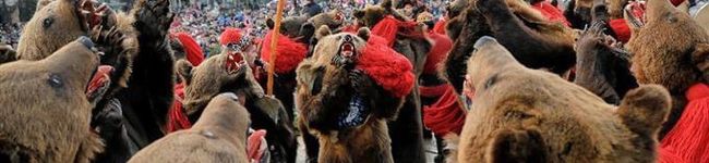 くまちゃんbear's header image
