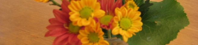 a210post's header image