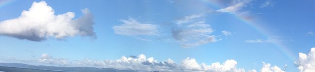 猫のミイヤ's header image