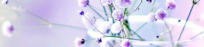 ムサムラコ's header image