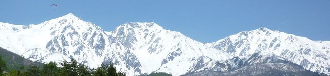 林檎の樹's header image