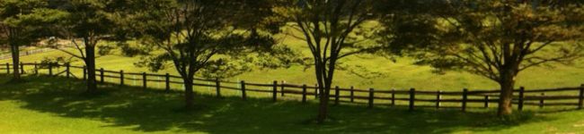 KEC嫁's header image