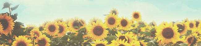 seemap's header image
