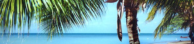 sweetie&honey's header image