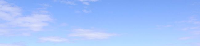 fzkitchen's header image