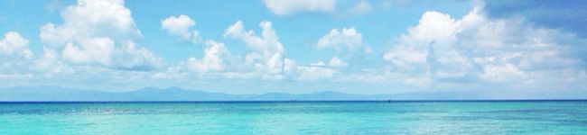 gotogoo's header image