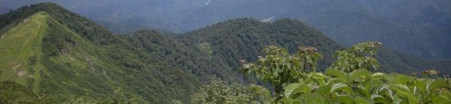 raradesu's header image