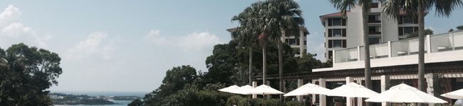 gomadachs's header image