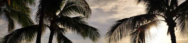 healtylife's header image