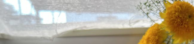 季夢★'s header image