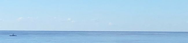 さやにゃんn's header image