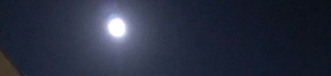 ✣ゆ丸✣'s header image