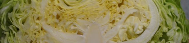 dormouse62's header image