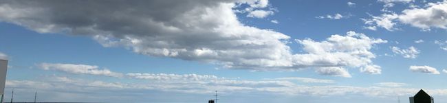 蓮茶子's header image