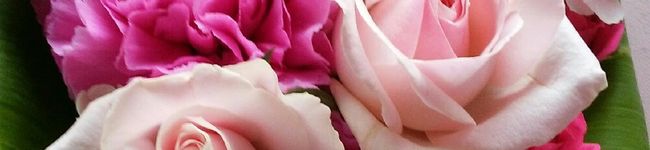 花翠の教室's header image