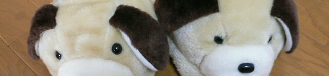 ルーズリーフ's header image